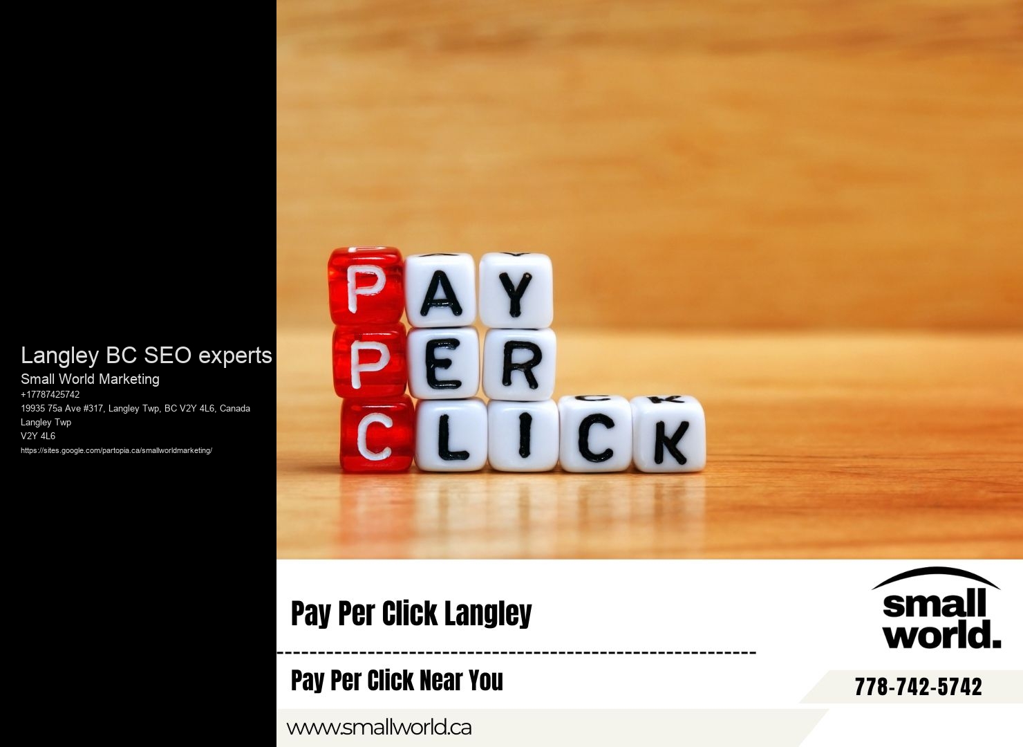 SEO Expert Langley BC SEO experts