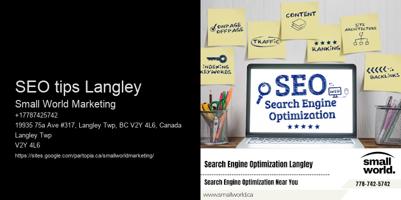 SEO tips Langley