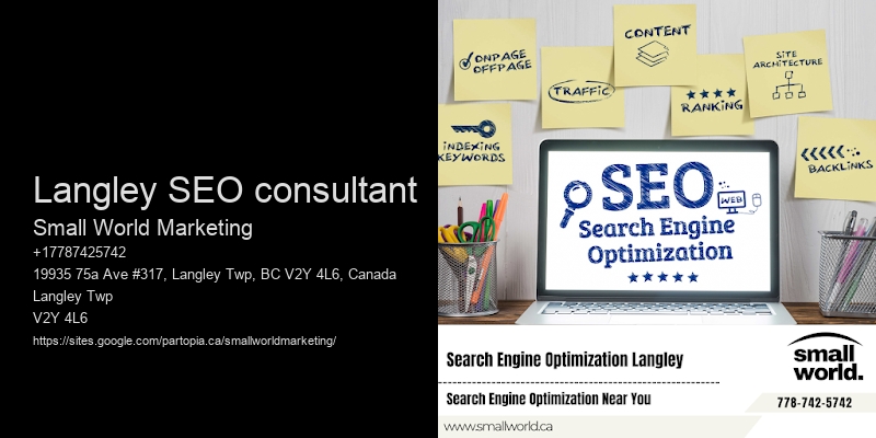 Langley SEO consultant