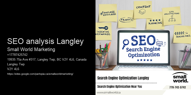 SEO analysis Langley