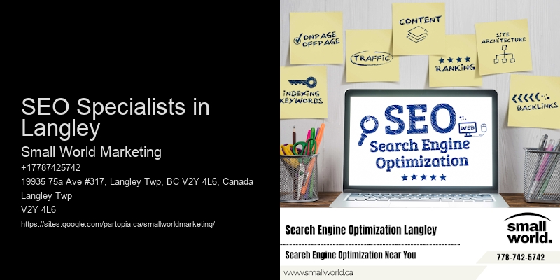 SEO Specialists in Langley