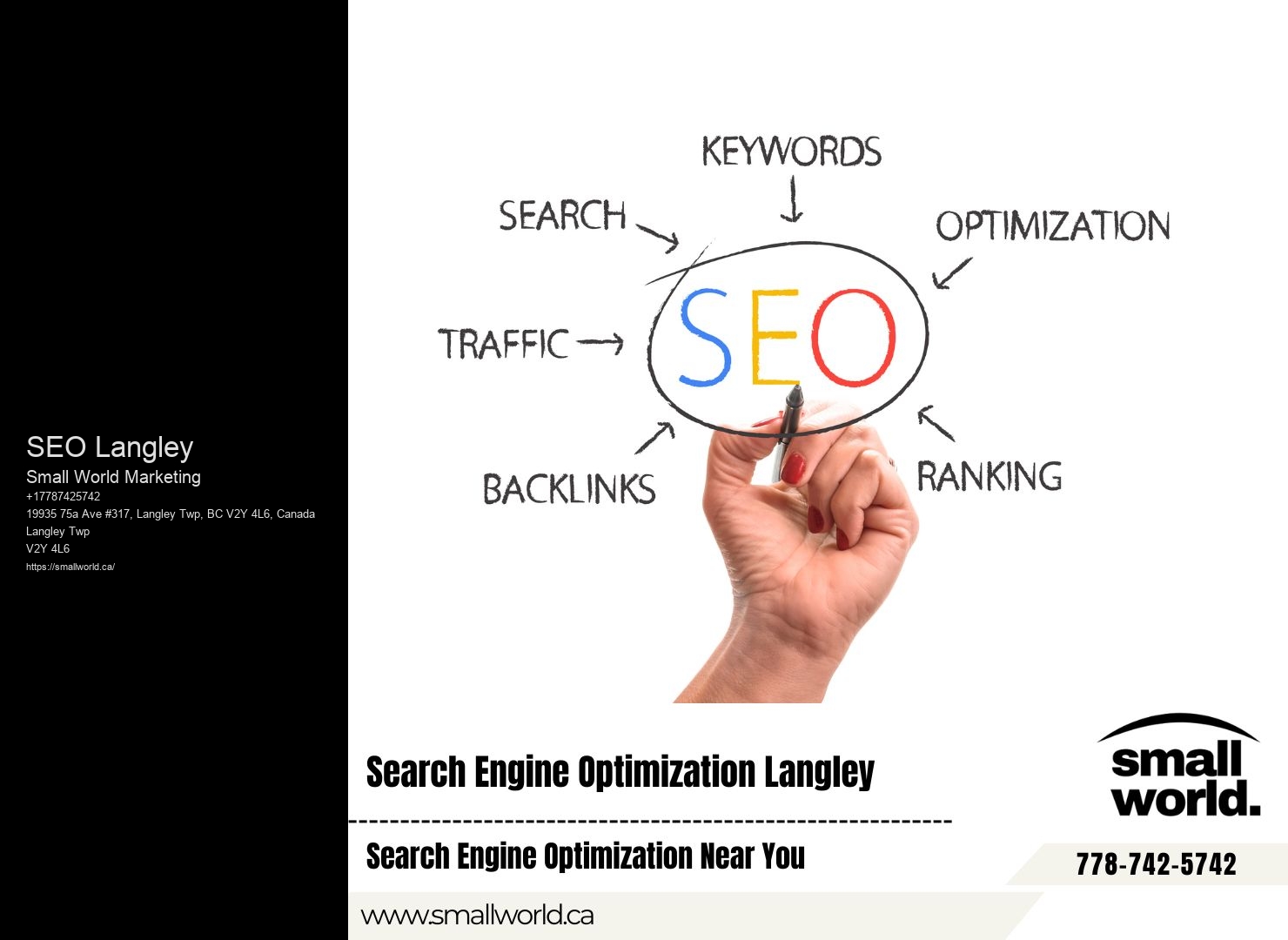 Professional SEO services SEO Langley