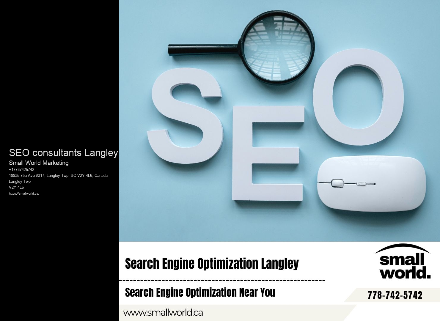 Expert SEO services SEO consultants Langley