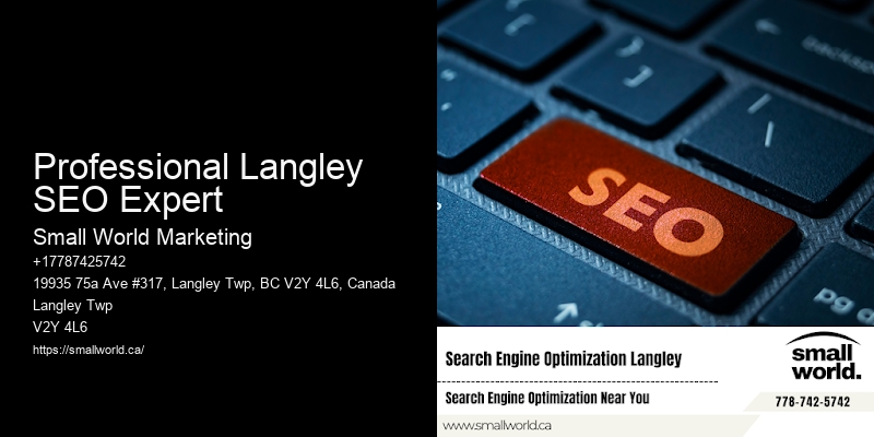 Professional Langley SEO Expert