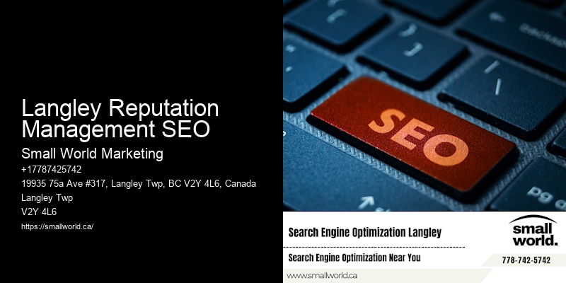 Langley Reputation Management SEO
