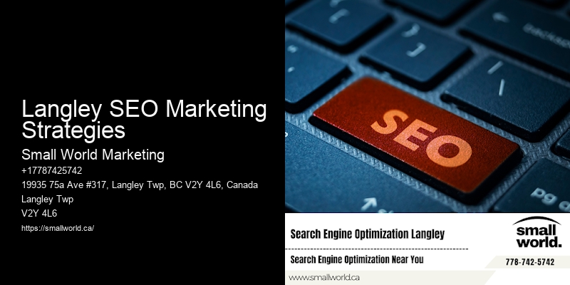 Langley SEO Marketing Strategies