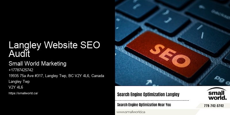 Langley Website SEO Audit