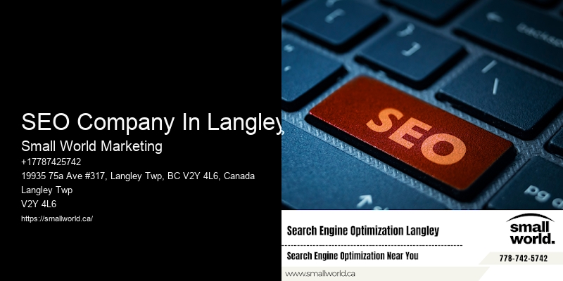 SEO Company In Langley