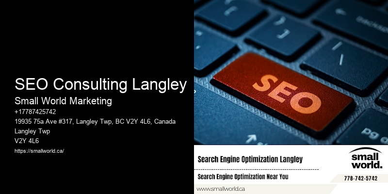SEO Consulting Langley