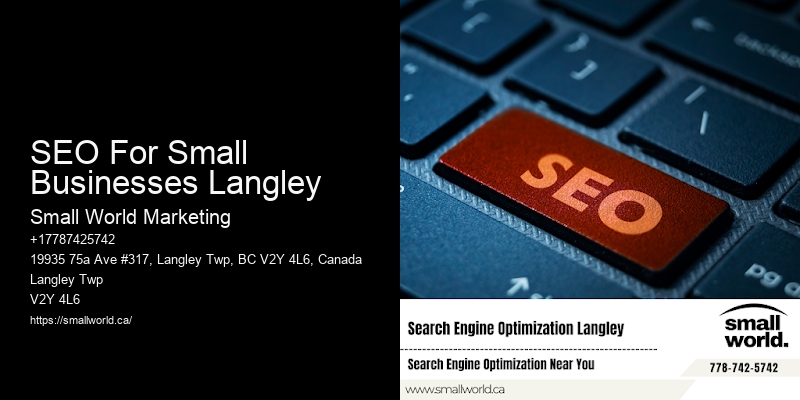 SEO For Small Businesses Langley